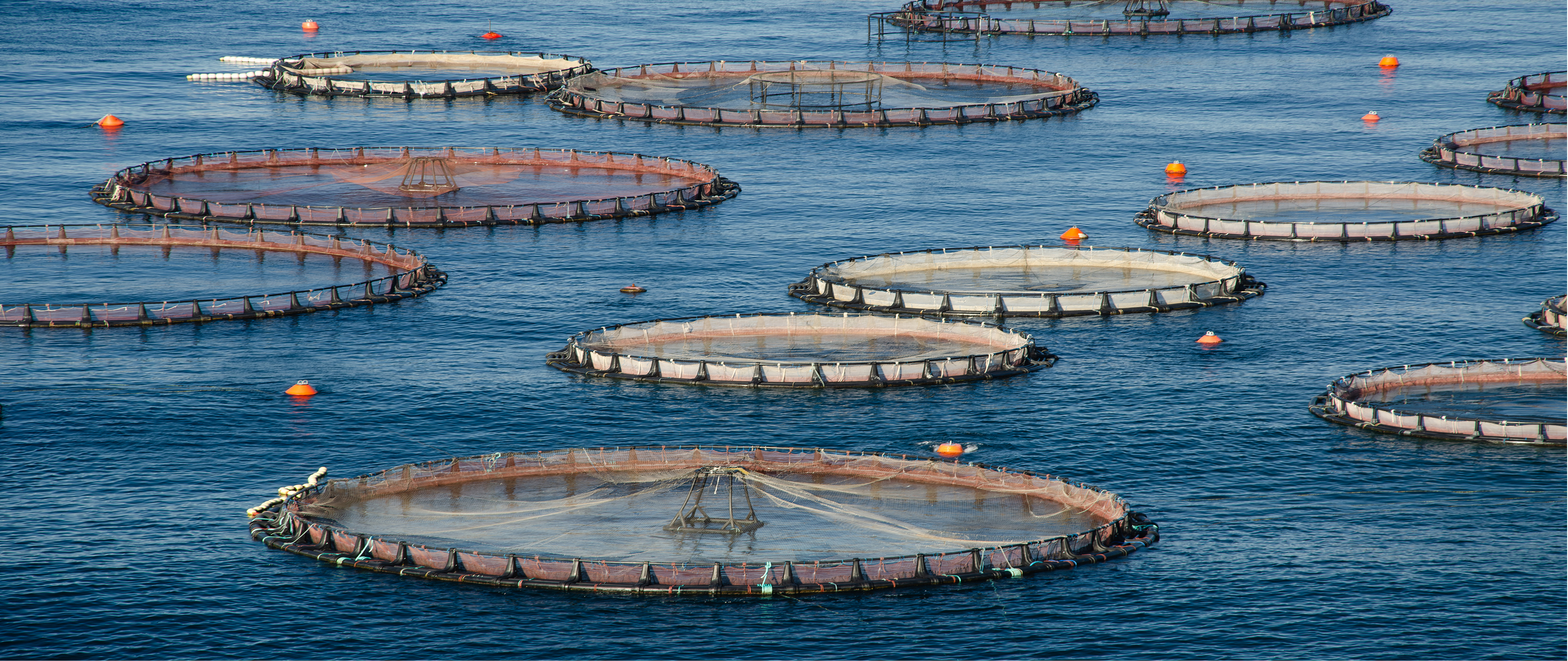Offshore aquaculture infrastructure on the sea